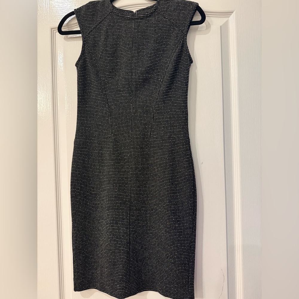 Ann Taylor Sleek Black and White Dress